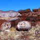 Foto: Servicio de Parques Naturales de Estados Unidos (PNS)